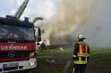 Feuer 5 Roesrath Am Grosshecker Weg P1171